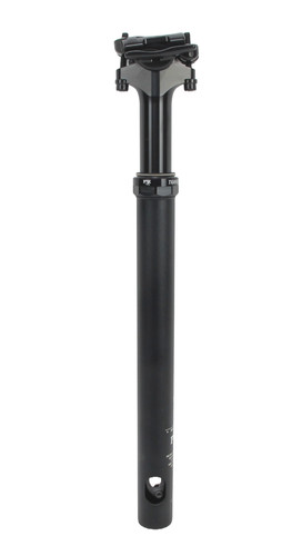 Fox transfer 50 mm - transfer,
